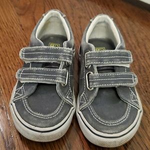 Grey canvas Sperry in 8.5M